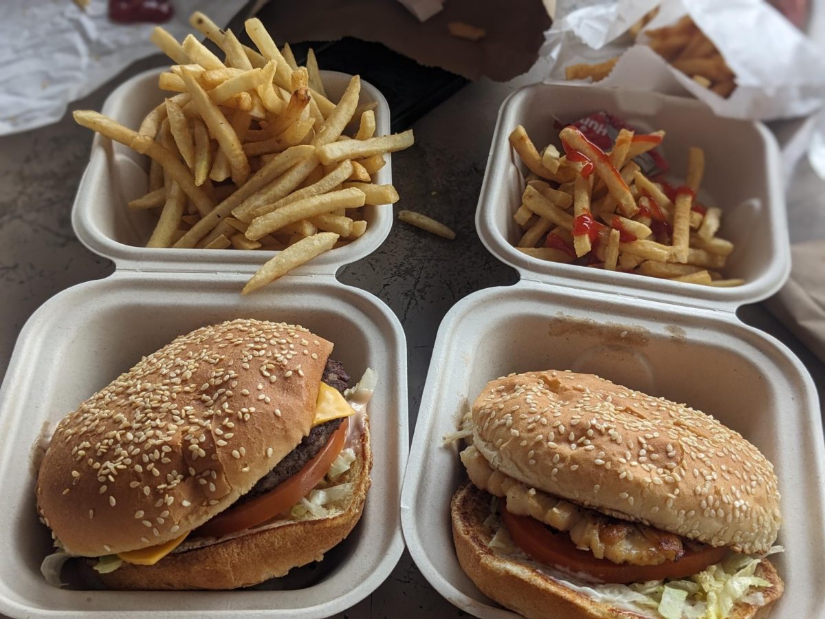 On the left, Cecil’s 1/6 burger with fries. On the right, the  Grilled Chicken Burger with fries.