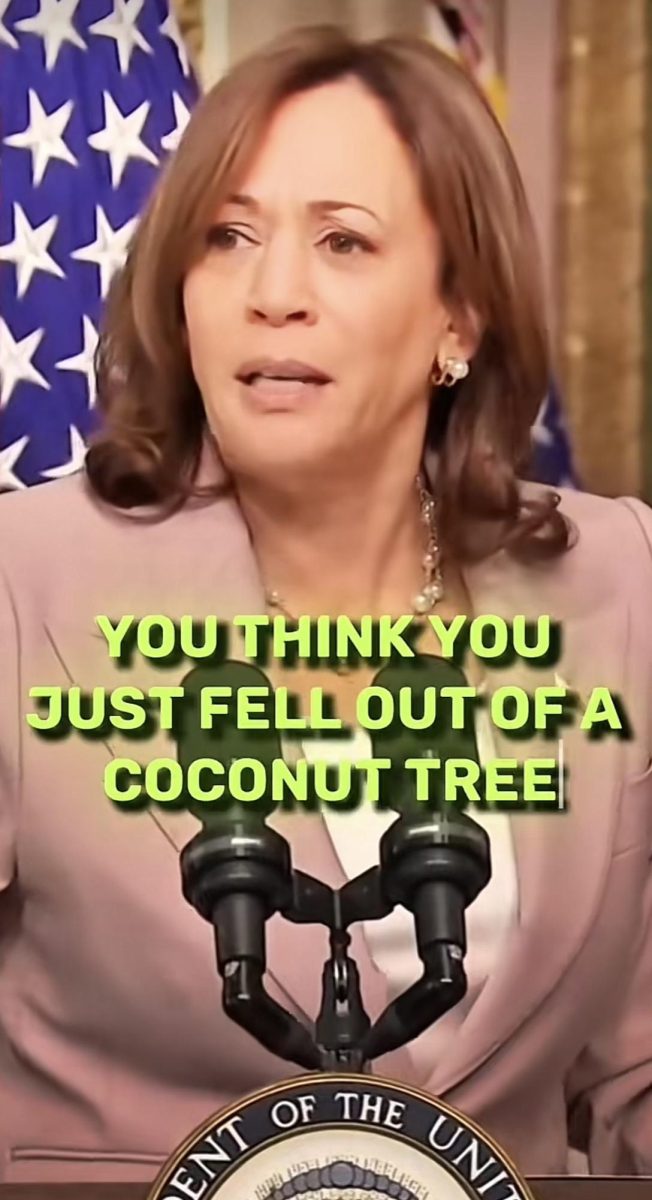 A Kamala Harris "BRAT" TikTok edit with over 3,000 views.