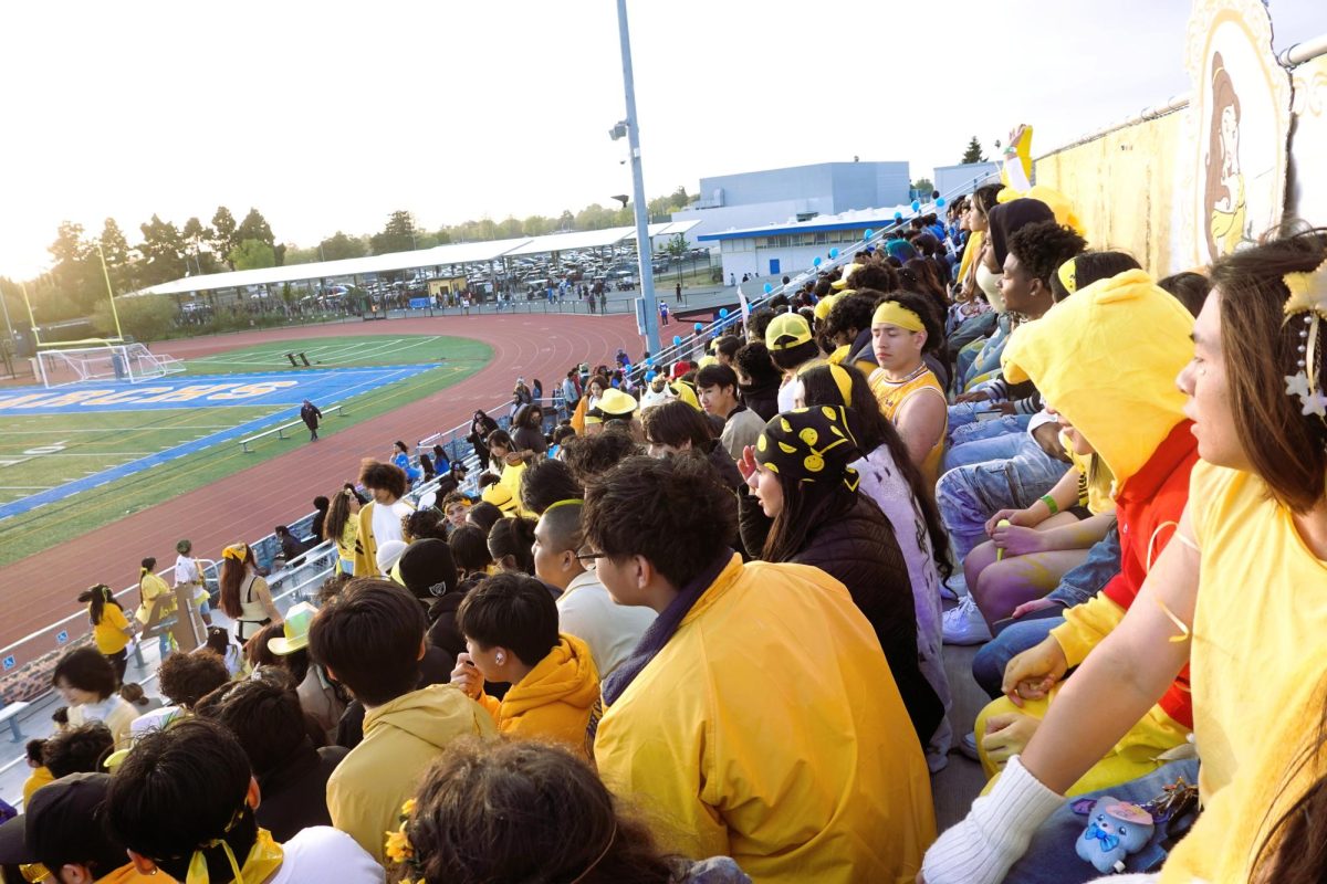 Seniors viewing the opening of Monarch Day.